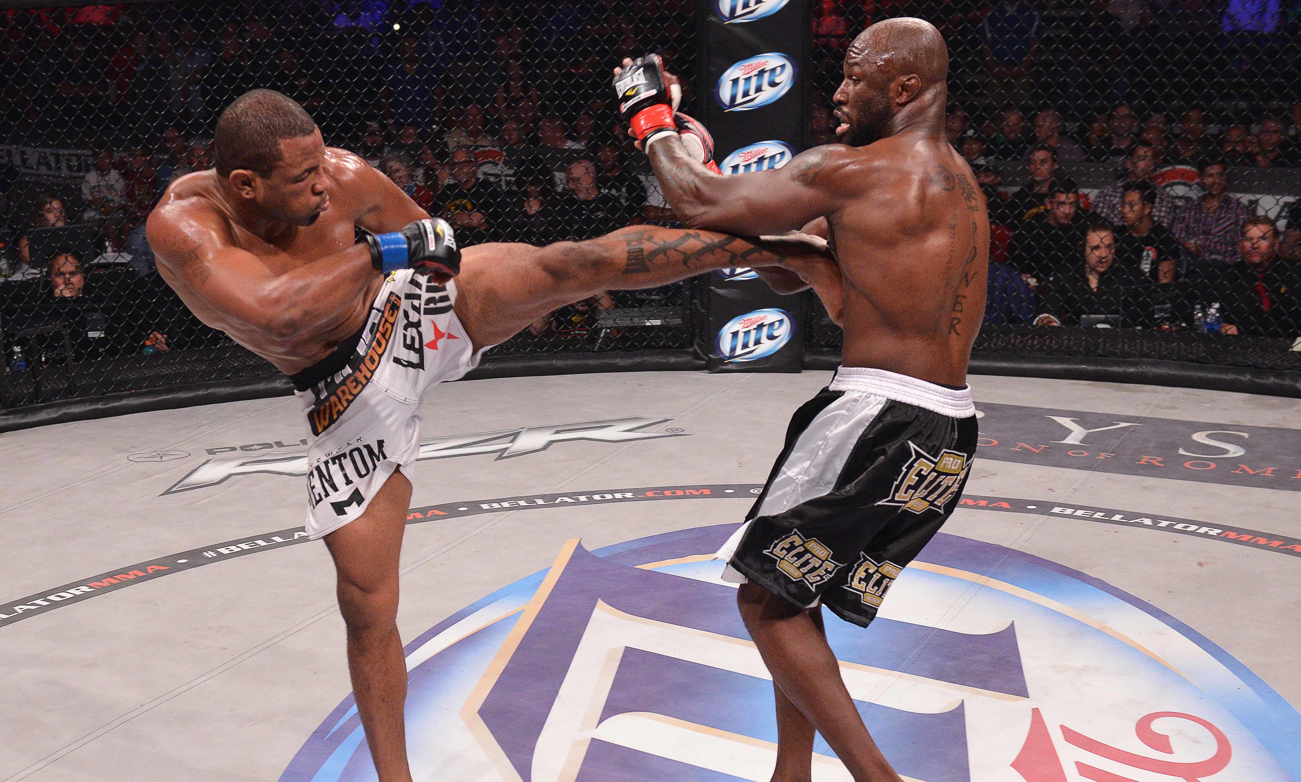 Celestial Renews Rights To Bellator MMA Marketing Interactive