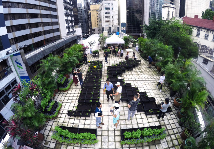 The rooftop farm