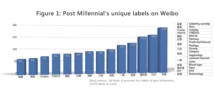 O&m Understanding China’s Young Consumers