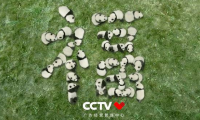 CCTV