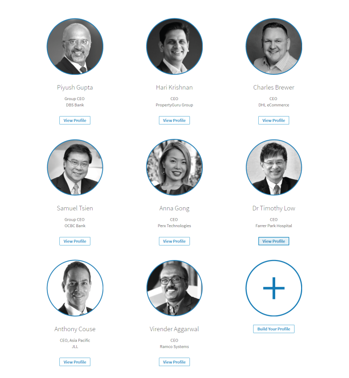 CEOs LinkedIn Power Profiles in Singapore 2017