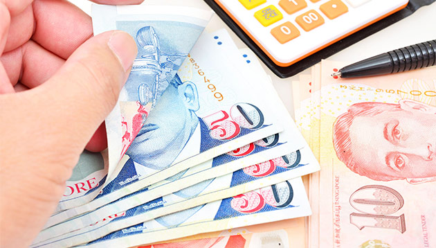 Singapore money budget finance 123rf