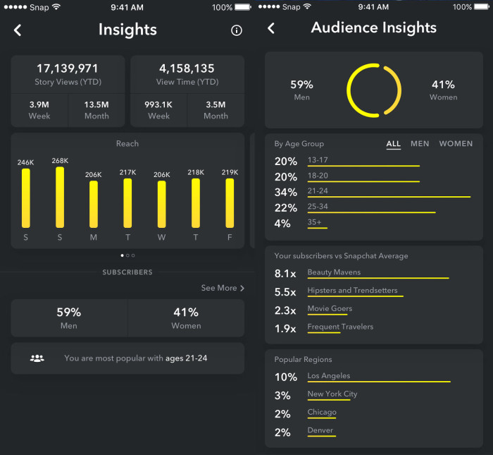 Snapchat Analytics Screenshot