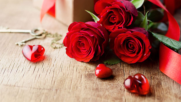 Valentine's Day Love 123rf