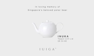 IUIGA